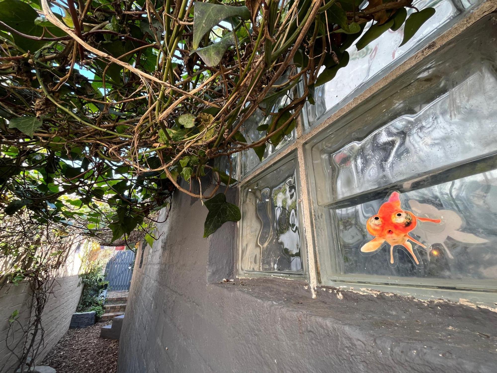Seaside Getaway @ Swallow House Suite #2 Cape Town Luaran gambar